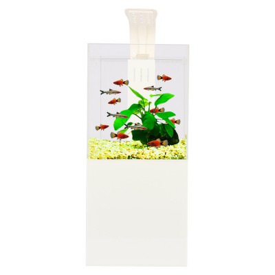 Aquarium fish tank